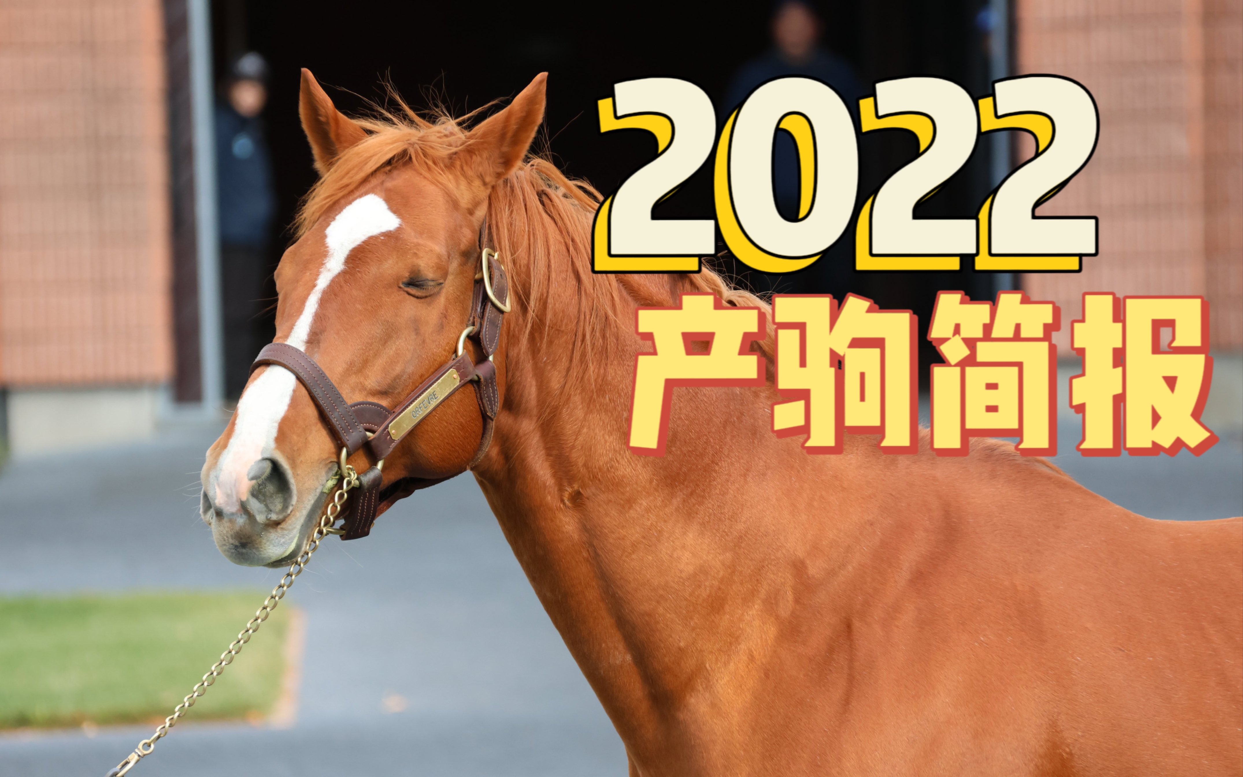 2022年黃金巨匠產駒年度簡報