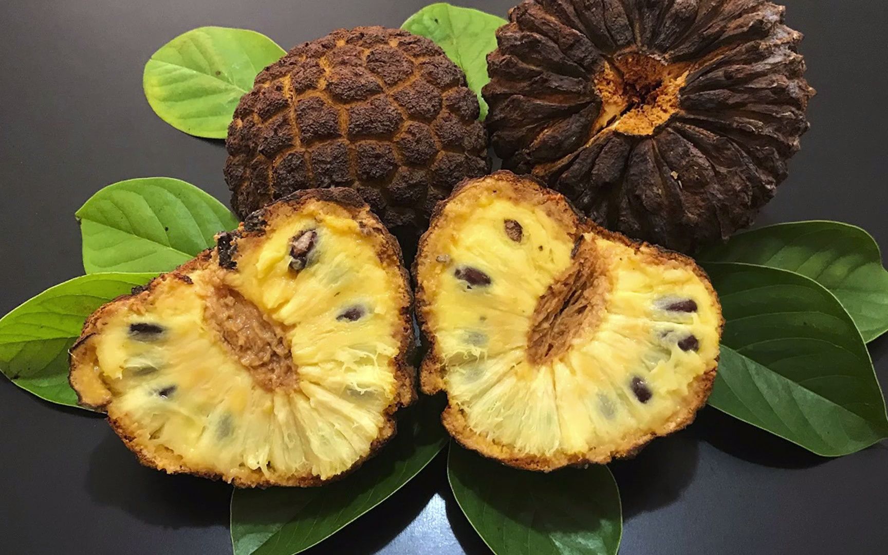 这水果你肯定没吃过!巴西最好吃的黄肉番荔枝marolo