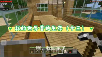 我的世界普通生存（十三）