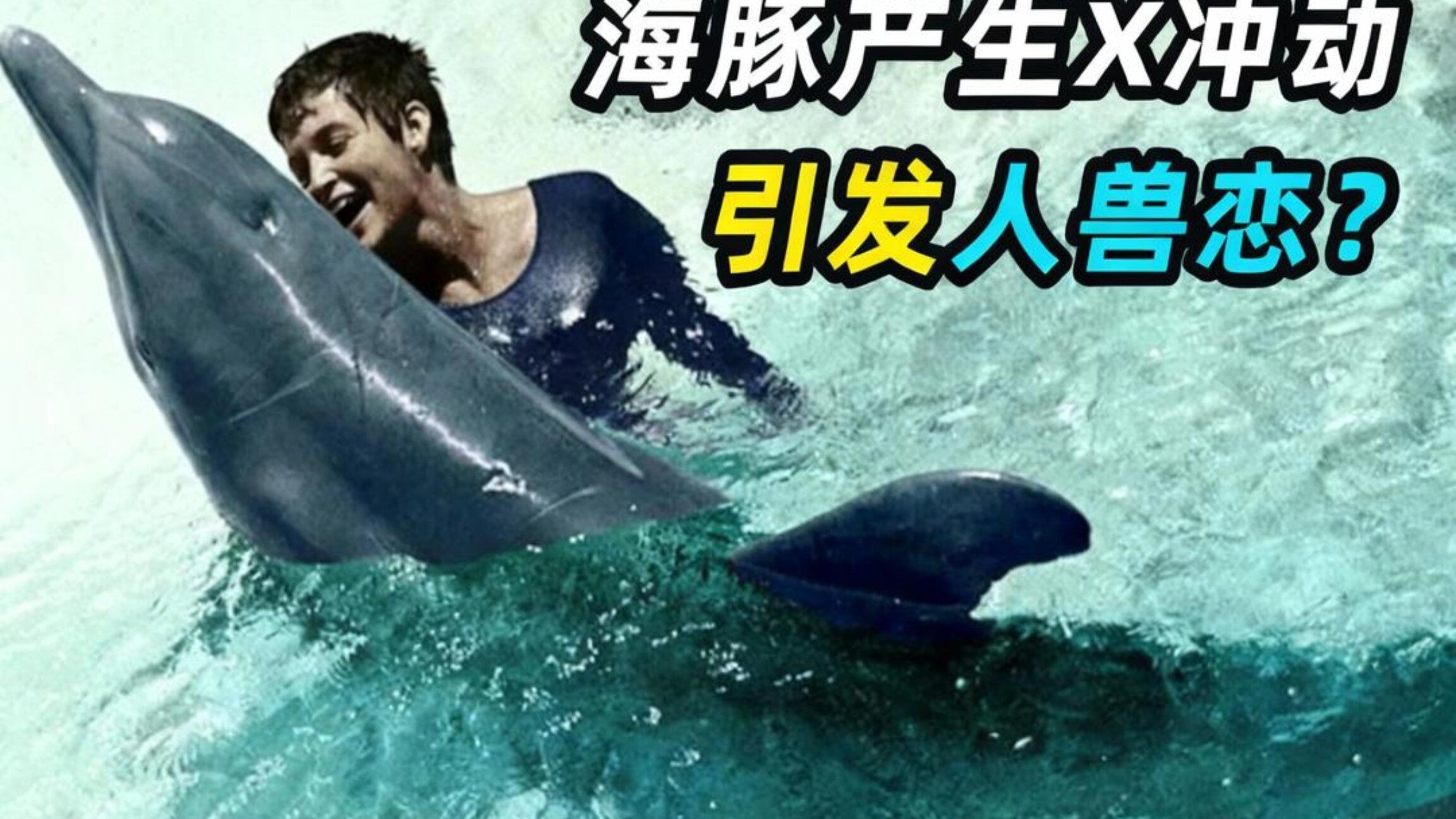 封杀50年的实验：人类帮海豚解决生理需求，还与它相恋？