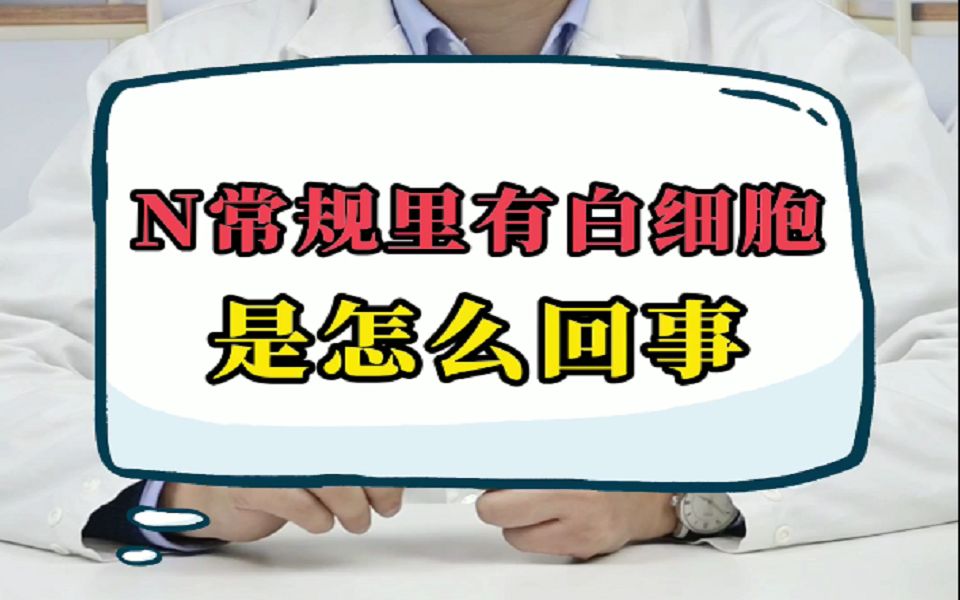 尿常规发现白细胞,代表什么?医生一次表明哔哩哔哩bilibili