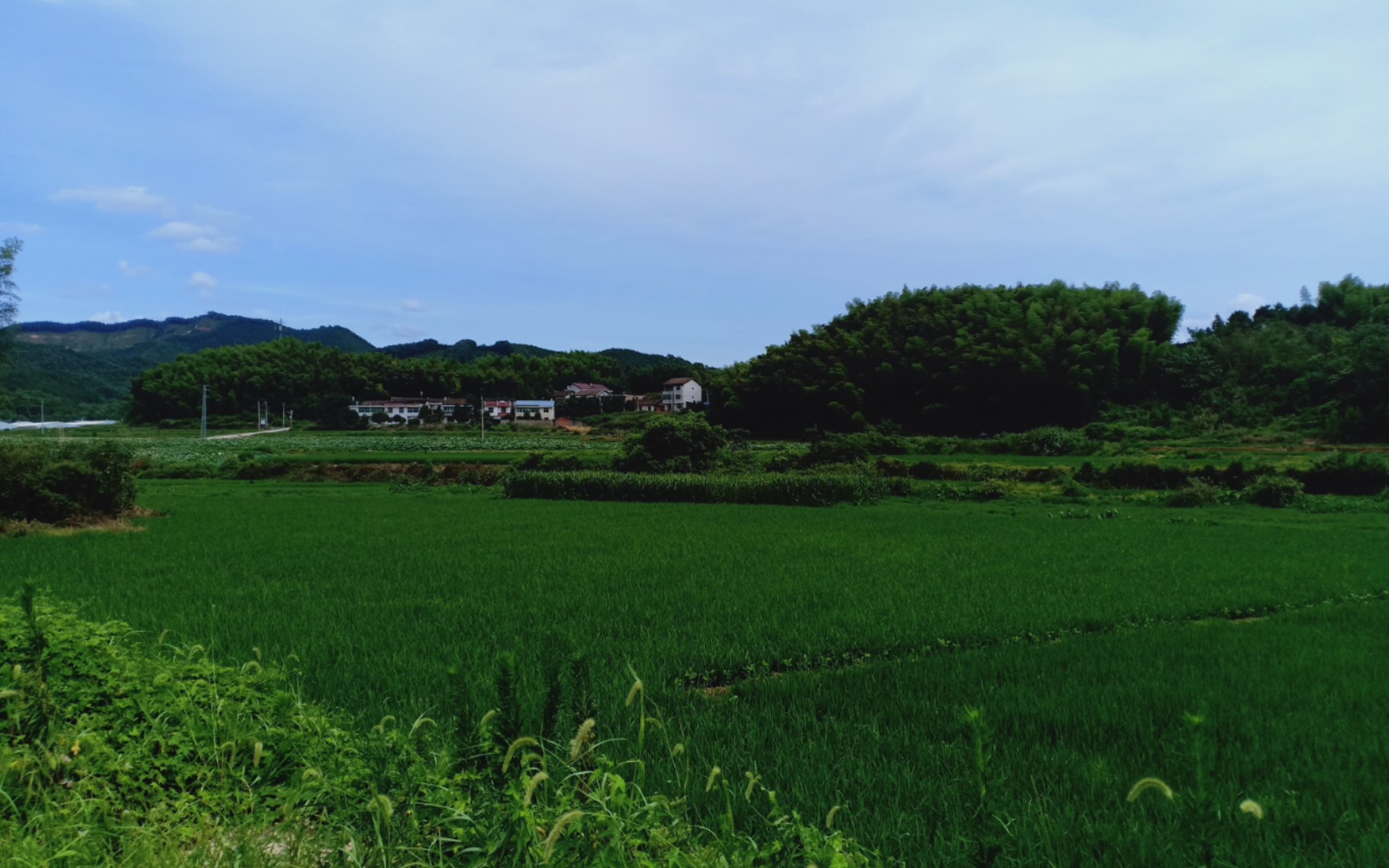 活动作品随手拍了油溪村