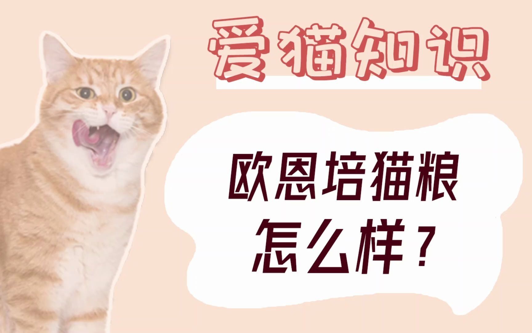 欧恩焙猫粮怎么样?哔哩哔哩bilibili