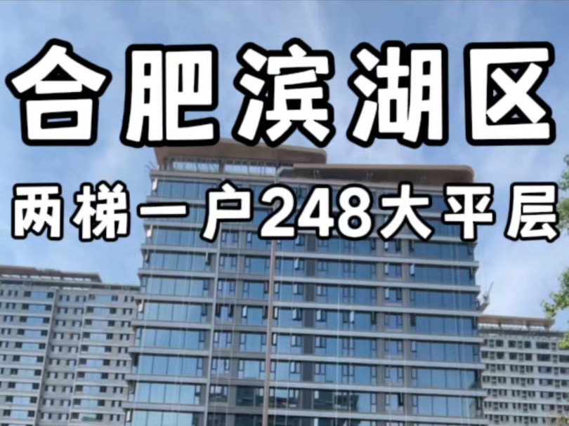 合肥滨湖区两梯一户248大平层毛坯交付可选装修班均价两万八起#合肥大平层哔哩哔哩bilibili