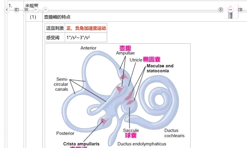 【小白闲扯生理学】感觉器官的功能 前庭器的功能(半规管)哔哩哔哩bilibili