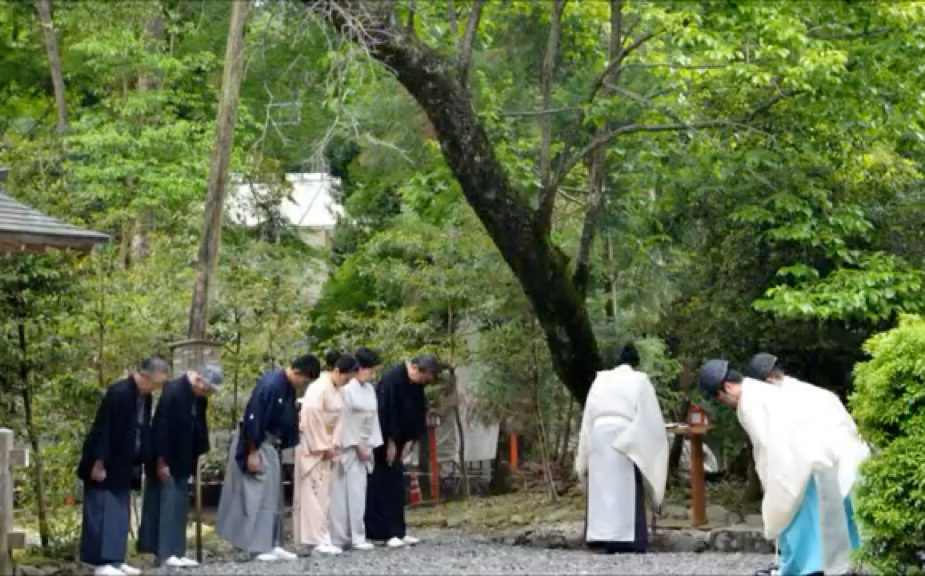 「日本茶道」里千家献茶祭 京都日吉大社哔哩哔哩bilibili