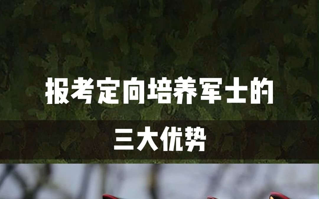 [图]报考定向培养军士的三大优势