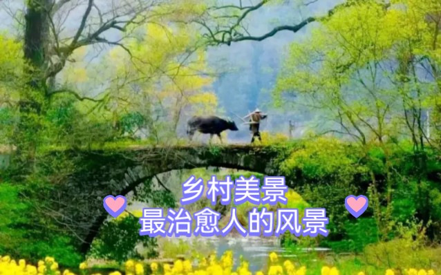 来自于大自然的馈赠,乡村美景,最治愈人的风景哔哩哔哩bilibili