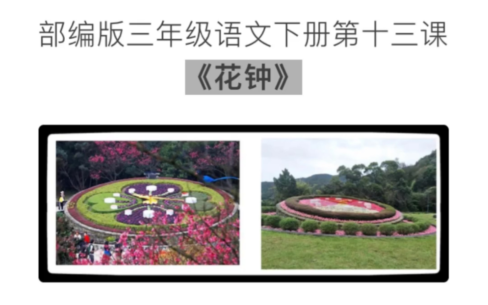三年级语文下册第十三课花钟