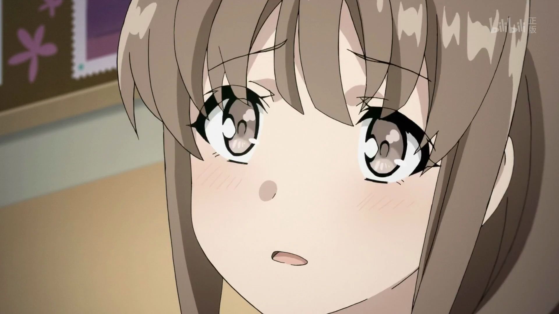 青春猪头少年----枫