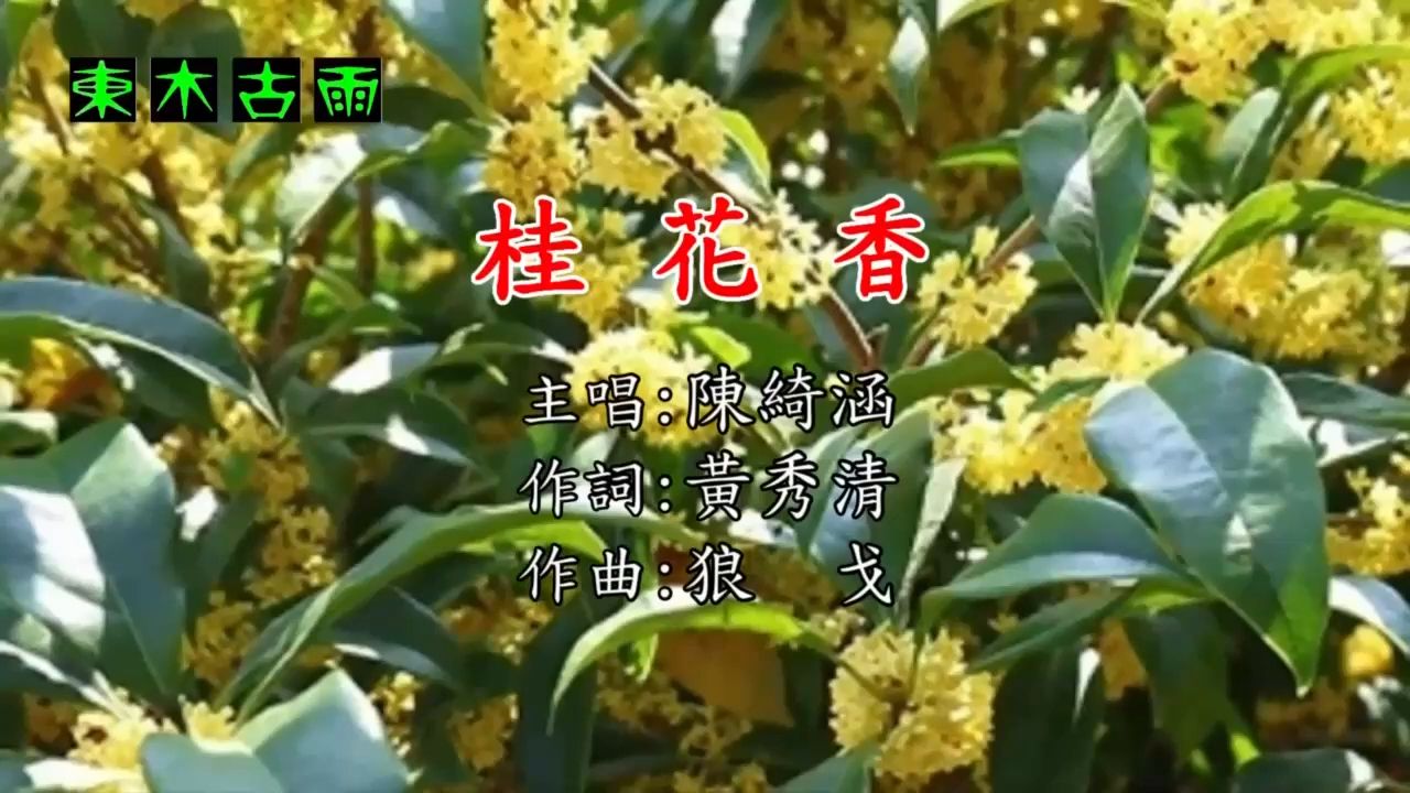 陈绮涵桂花香(KTV导唱字幕)哔哩哔哩bilibili