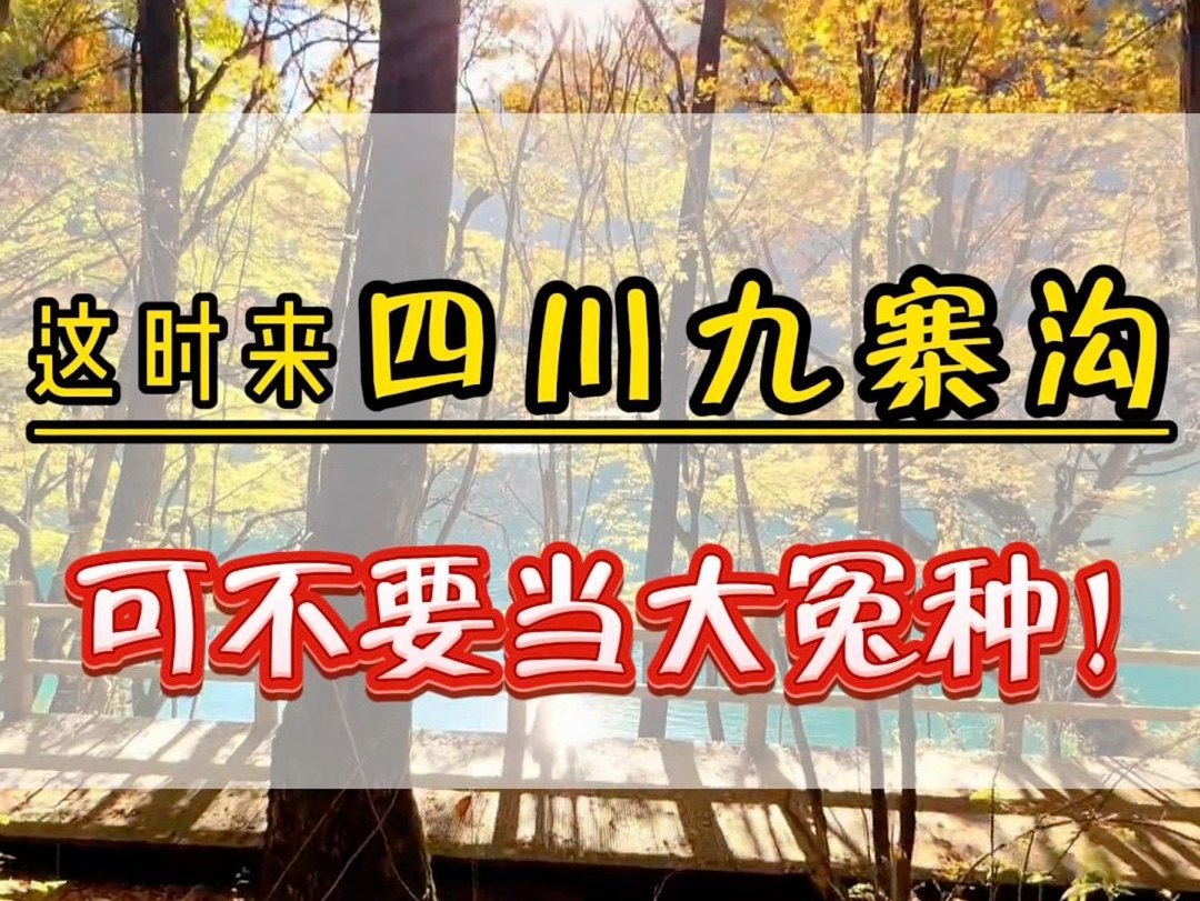 11月下旬12月份来四川九寨沟千万不要做大冤种了.四川景点多,线路复杂,一定要做好攻略再出发.不然就是妥妥的大冤种.#九寨沟旅游攻略 #四川旅游...