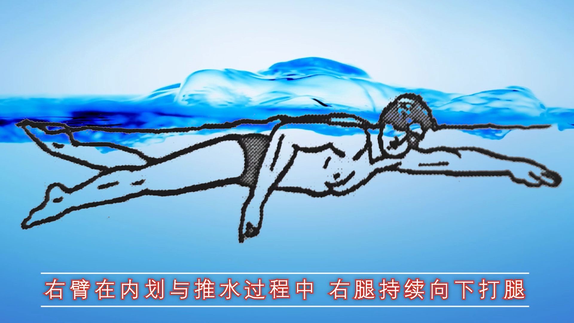 中游体育:六张动图带你了解自由泳两次腿打腿时机