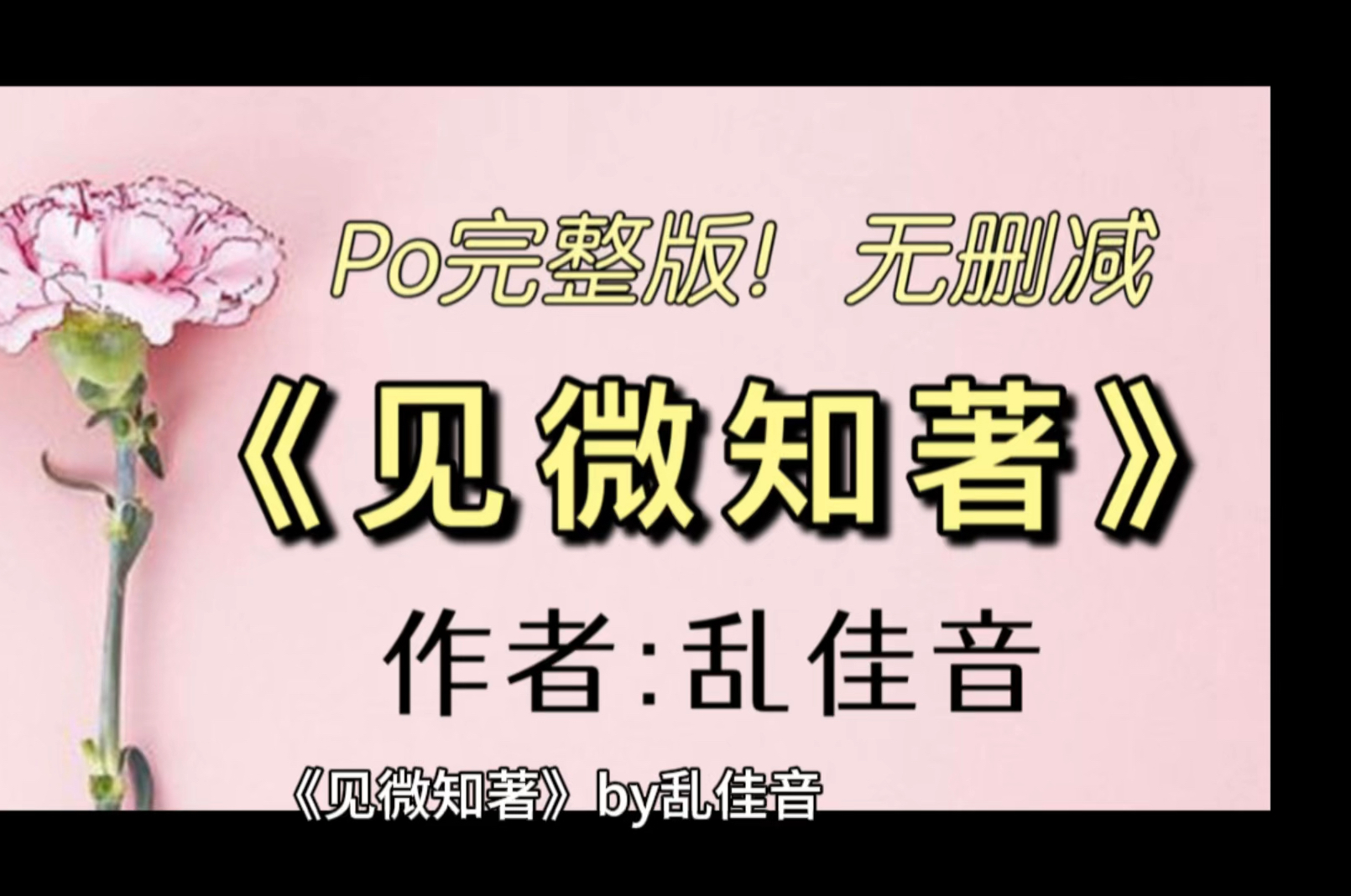 po强推《见微知著》作者:乱佳音(没心没肺千金小姐黎见卿x腹黑严肃
