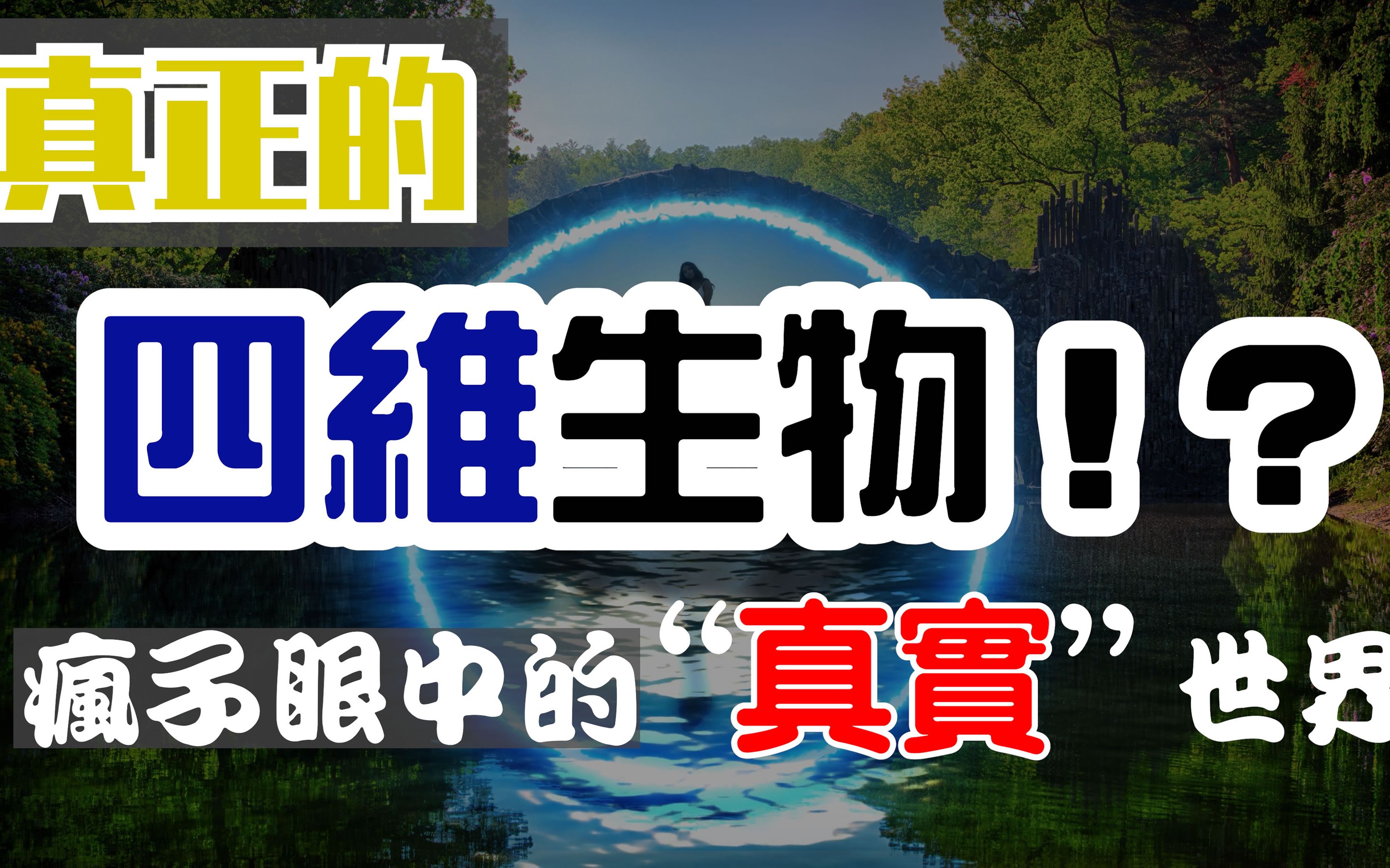 [图]四维生物！？疯子眼中的“真实”世界 精神病or天才【第36期】 幻想视觉