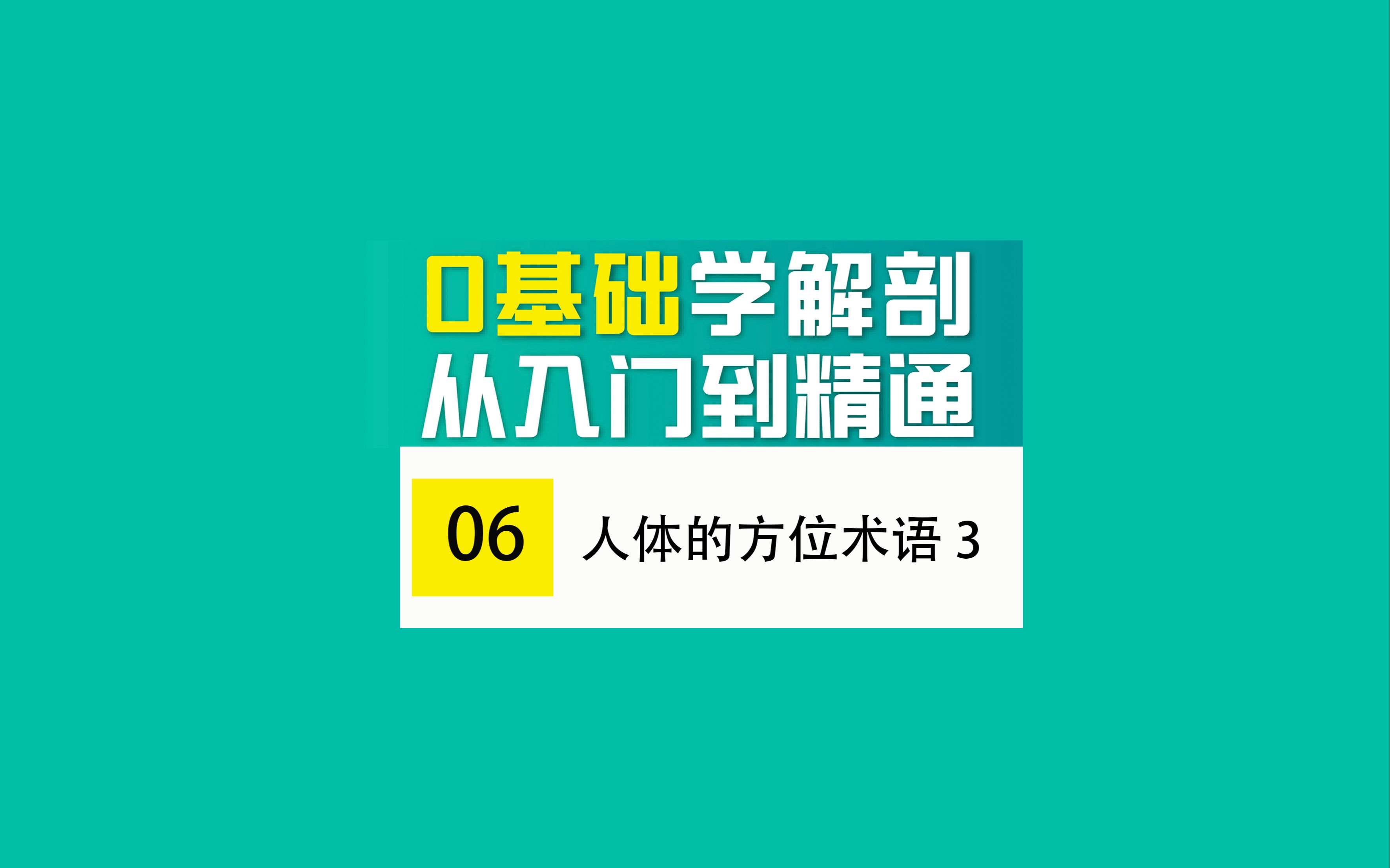 【0基础学解剖】人体的方位术语3哔哩哔哩bilibili