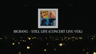 Descargar video: 【BIGBANG】-《still life》模拟演唱会现场，但愿这辈子能听到他们演唱会唱吧。