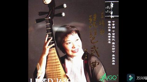 琵琶 雨果唱片 琵琶武曲曲三 霸王卸甲 100年前琵琶 王梓静 哔哩哔哩