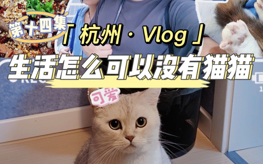 [图]我的生活记录杭州Vlog第14集，生活怎么可以没有猫猫，终于吃到了心心念念的葱包桧，当然要记路了又不是天天见面，普通的生活也可以很有意思