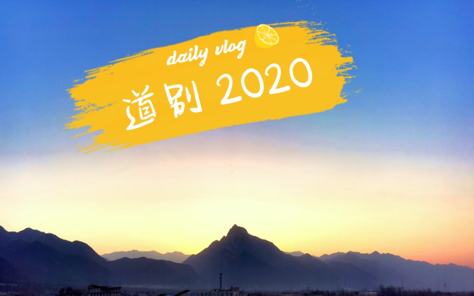 2021寒假驻守草堂的最后①天vlog---------道别2020
