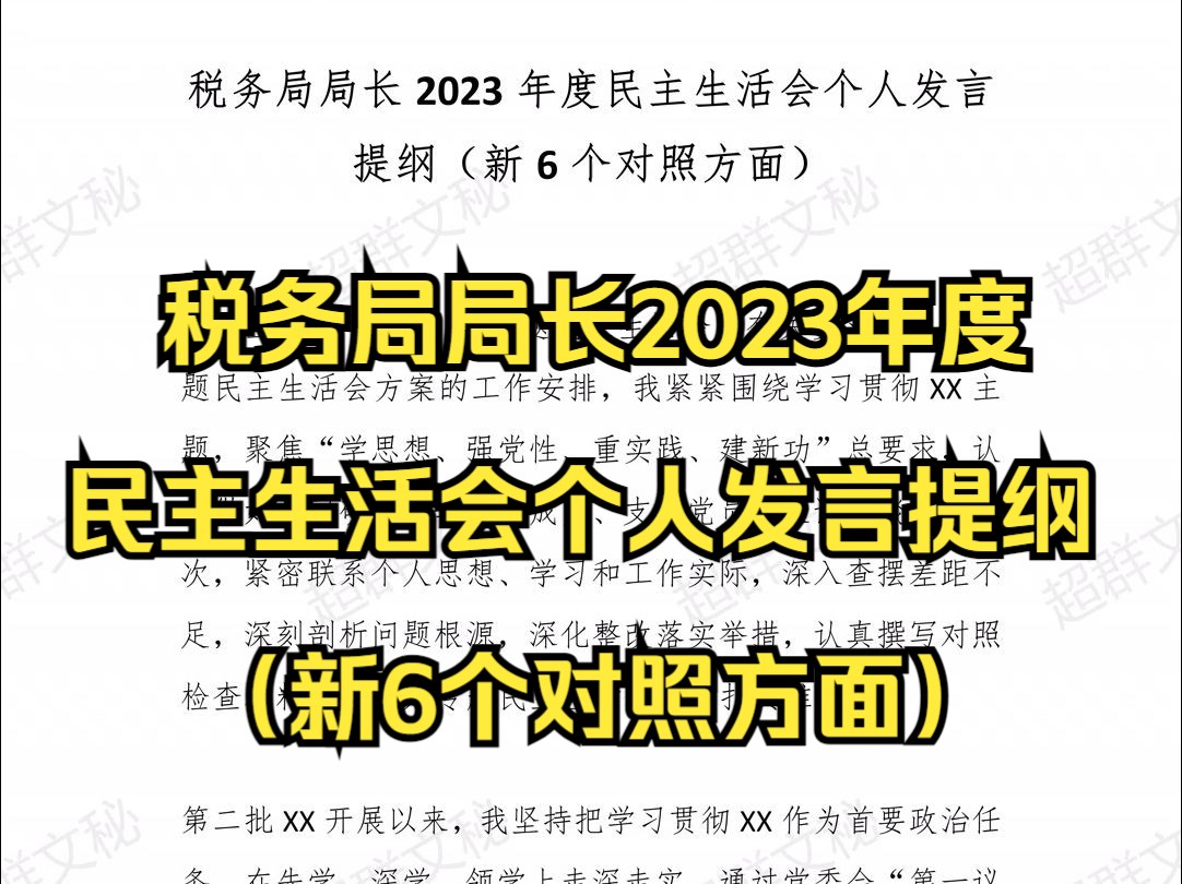 税务局局长2023年度民主生活会个人发言提纲(新6个对照方面) 最新范文哔哩哔哩bilibili