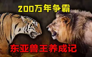 老虎悲情200万年：好不容易熬死了剑齿虎洞狮，又遇上人类