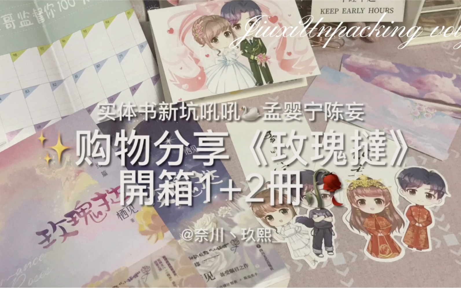 78实体小说开箱丨栖见玫瑰挞12册