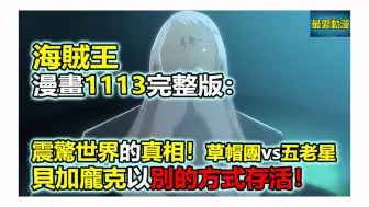 Descargar video: 海賊王漫畫1113話完整版：震驚世界的真相！草帽團vs五老星，貝加龐克以別的方式存活！