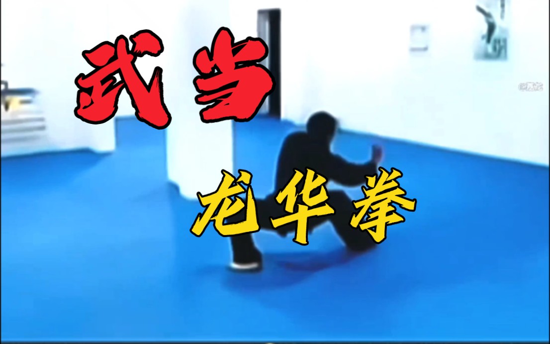 武当——龙华拳