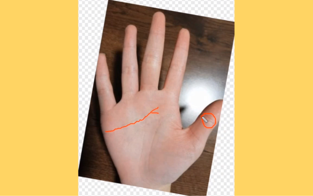 夫子眼是啥样的