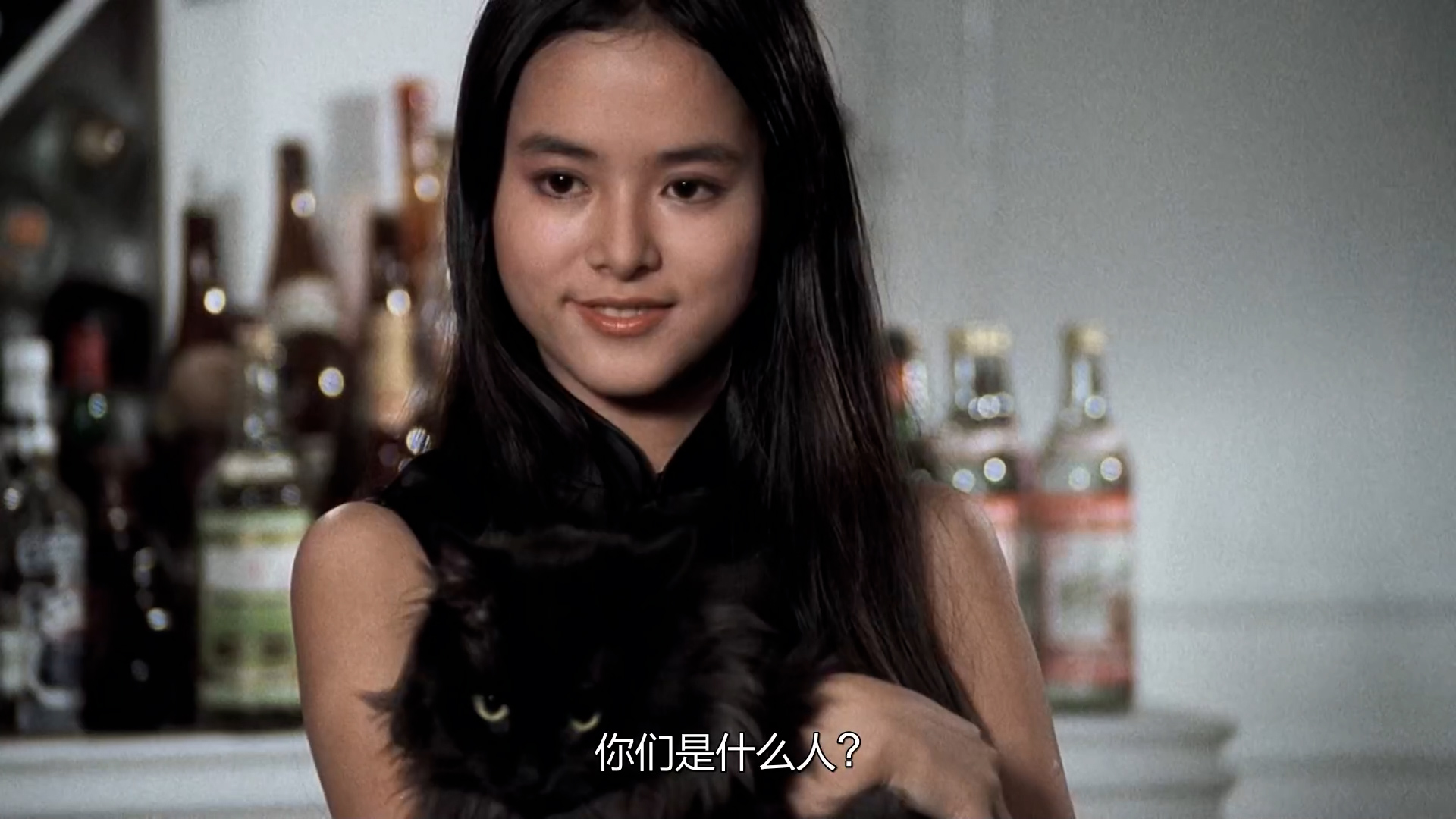 卫斯理之老猫