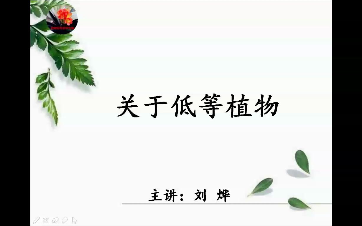 [图]关于低等植物