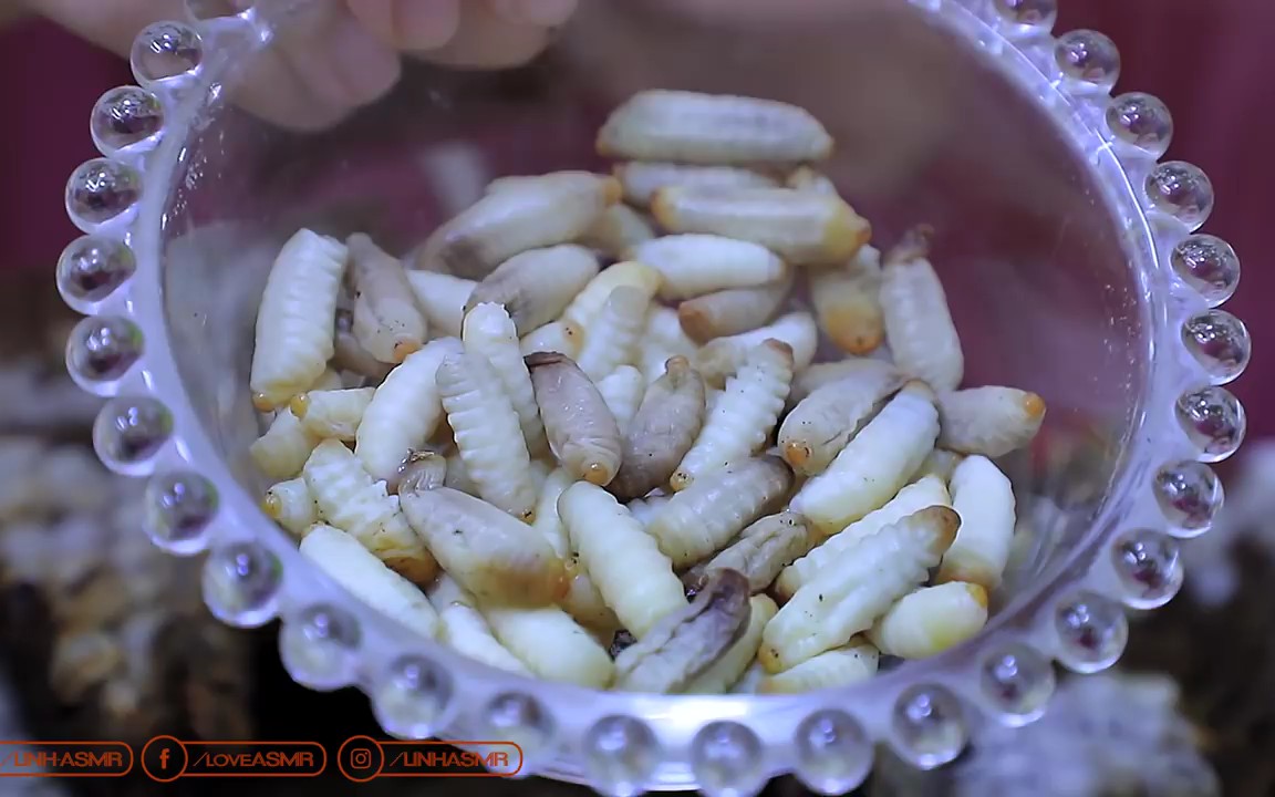 【linh asmr】玲玲姐吃烤黄蜂幼虫!