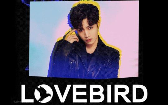 【张艺兴】lovebrid promo video