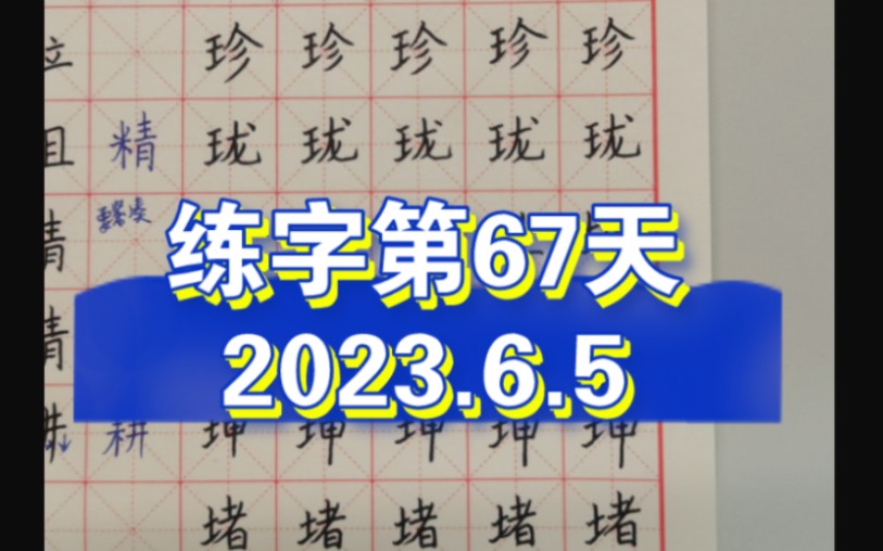 练字第67天(斜王旁,斜土旁)2023.6.5哔哩哔哩bilibili