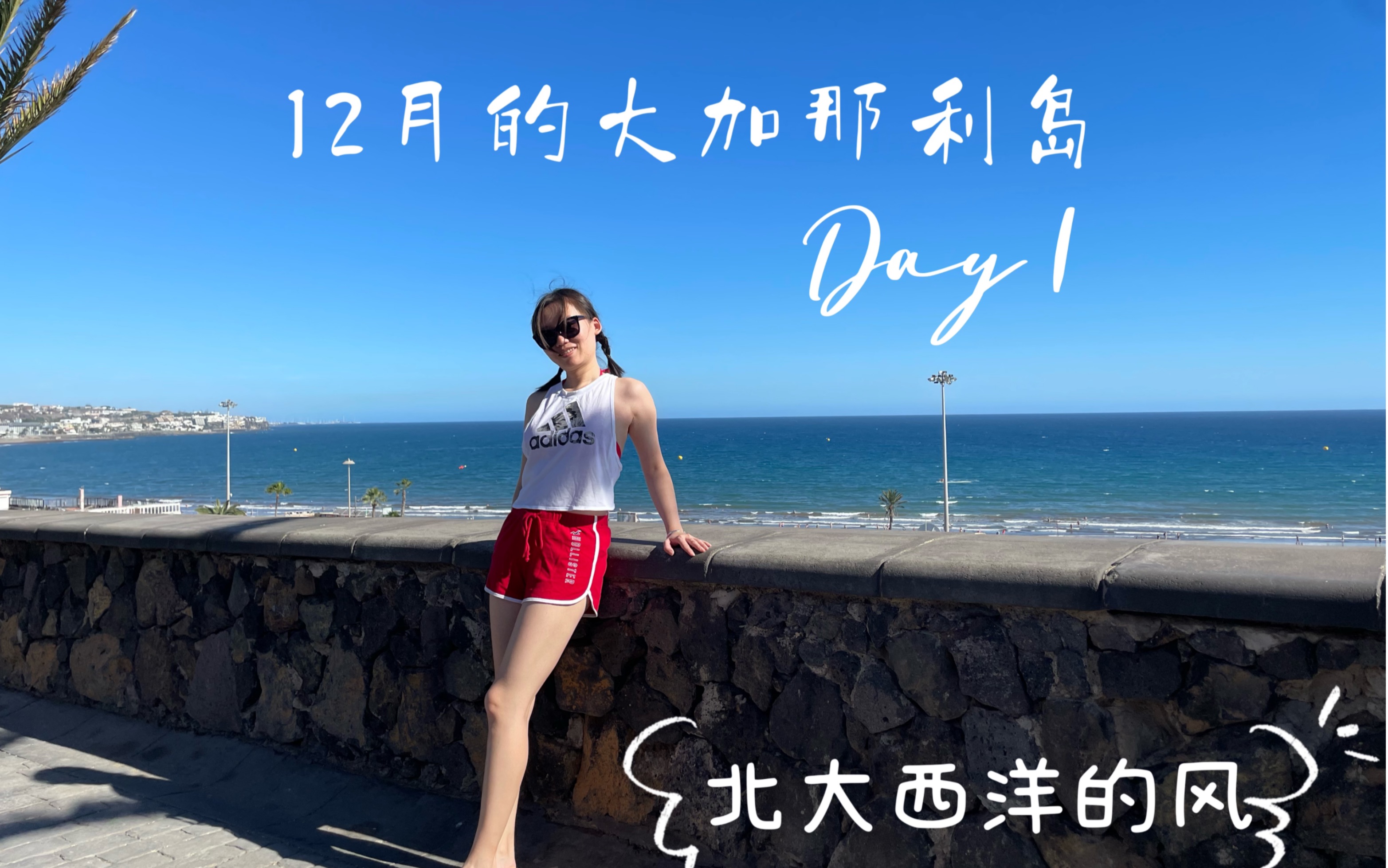 12月的大加那利岛 Day1:北大西洋的风哔哩哔哩bilibili