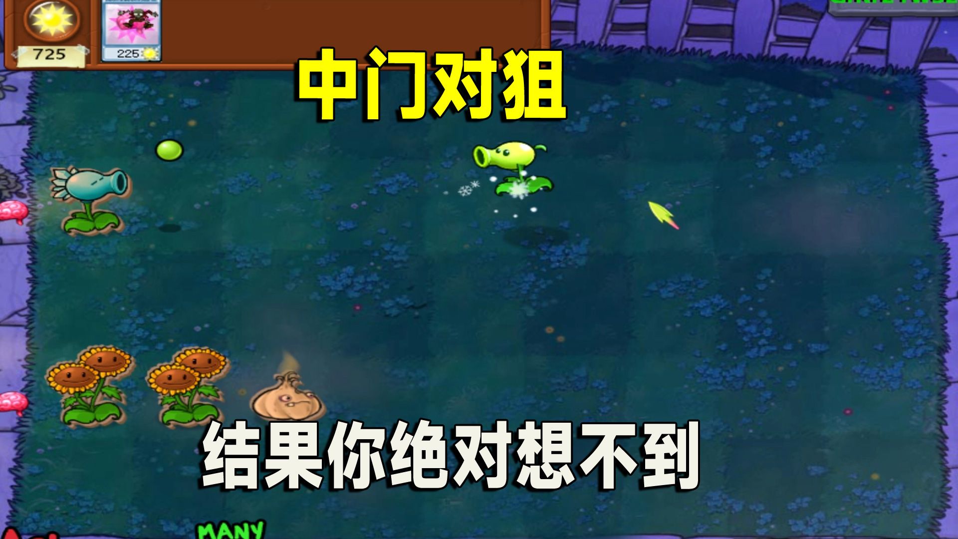 植物大战僵尸:小豌豆和寒冰上演中门对狙,结果你绝对想不到