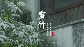 Download Video: 等花开，等叶落，等雪消，等人归，周而复始，无望无期