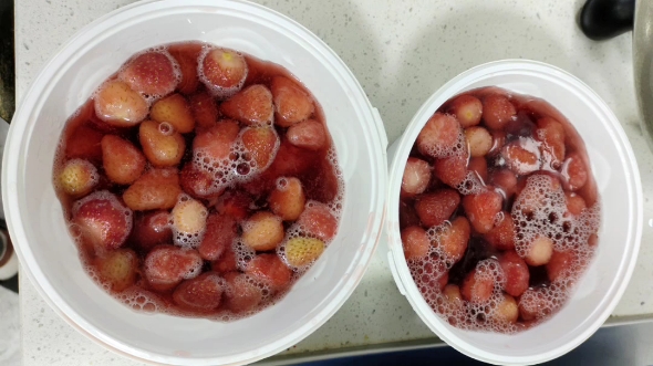 节后第一天,制作冰点草莓!这是我的工作,也是我的选择