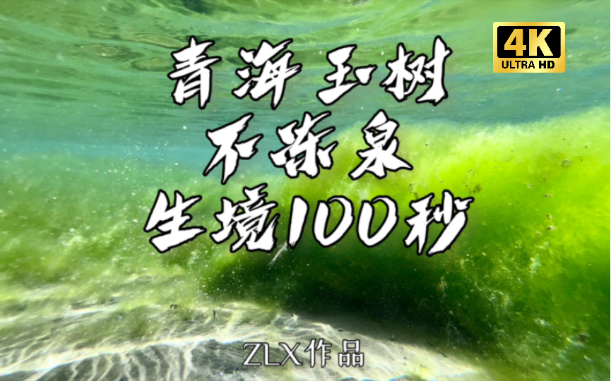 水下生境100秒|青海玉树可可西里不冻泉 3 在正式进入昆仑山口之前,海拔4600米处,有一汪终年不冻的泉水翻涌而出.它出露于断层,养育了一方生灵……...