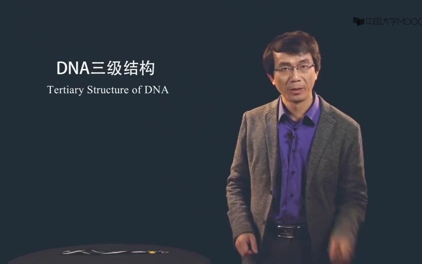 DNA的负超螺旋正超螺旋结构南京大学:结构生物化DNA三级结构Tertiary Structure of DNA哔哩哔哩bilibili