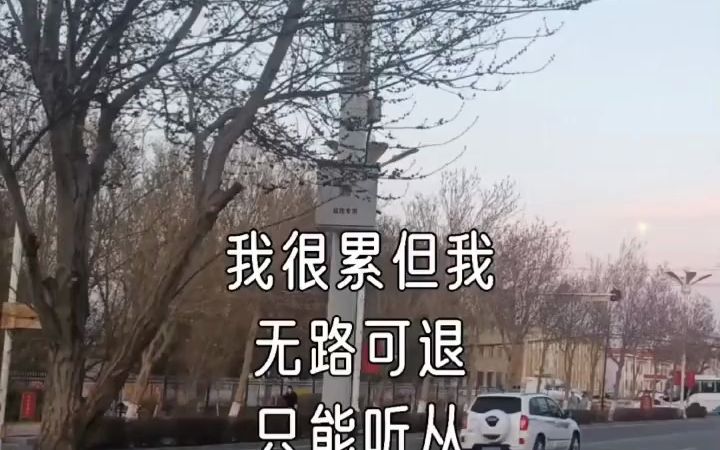我很累但我无路可退01