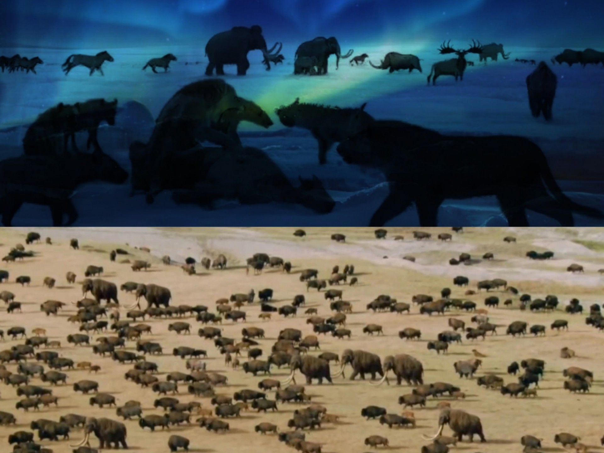 极光和猛犸草原和现代草原苔原,西伯利亚,欧亚大陆,猛犸洞狮锯齿虎