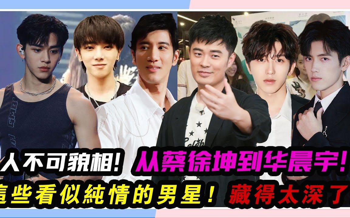 人不可貌相,从蔡徐坤到华晨宇,这些看似纯情的男星,藏得太深了