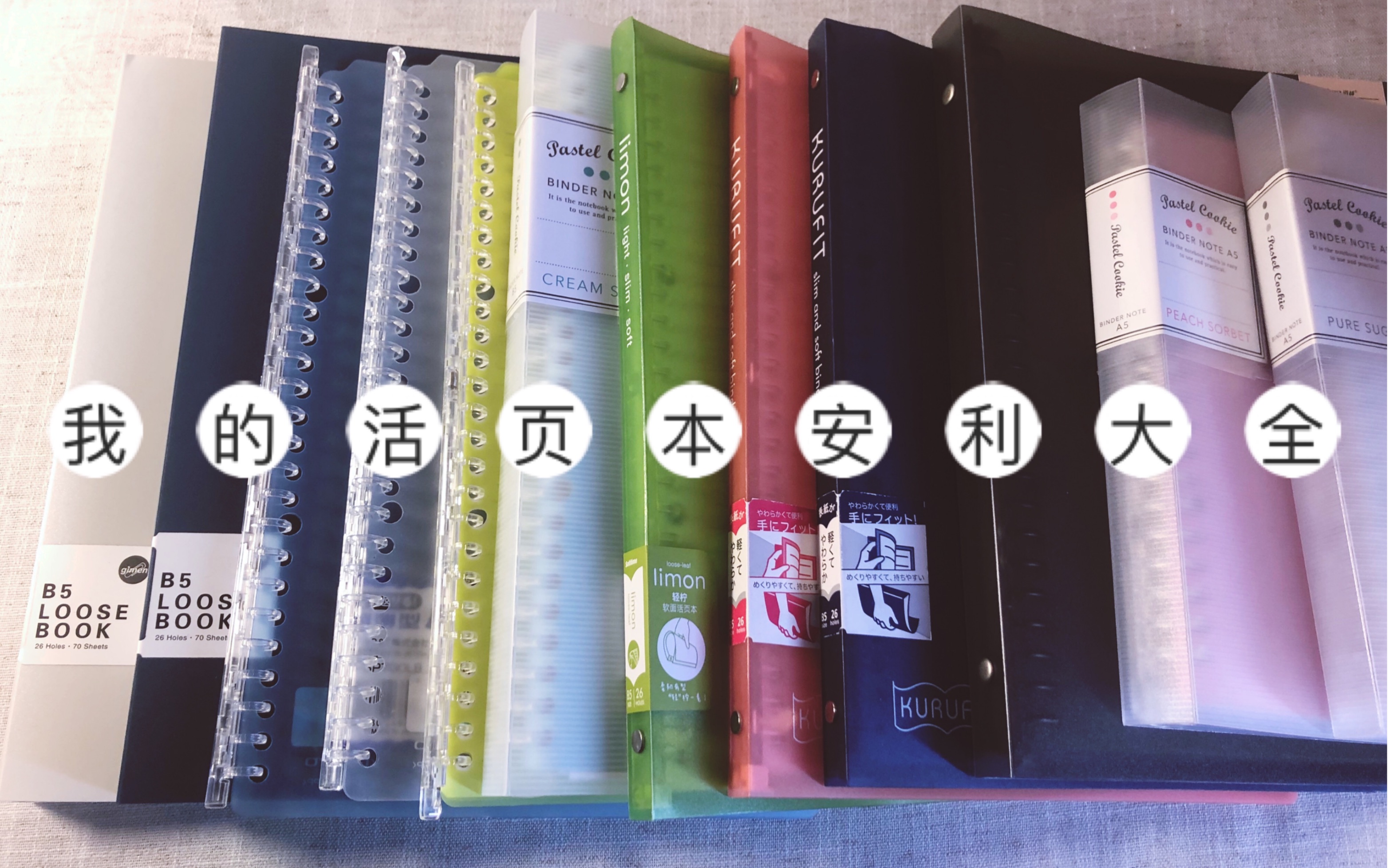 小盐/我所拥有的活页本安利/巨门/美乐麦/苏铁时光/道林/国誉哔哩哔哩bilibili