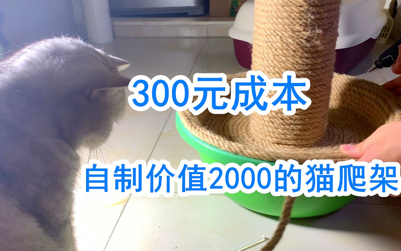 猫王花300元成本做出某宝售价2000多的猫爬架哔哩哔哩bilibili