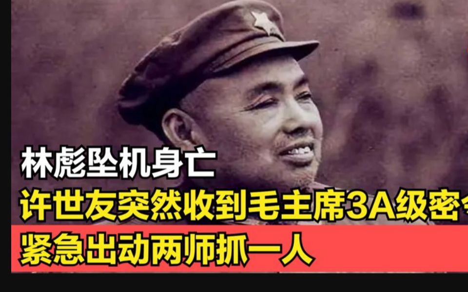 林彪坠机身亡,许世友突然收到主席3A级密令,紧急出动两师抓一人哔哩哔哩bilibili