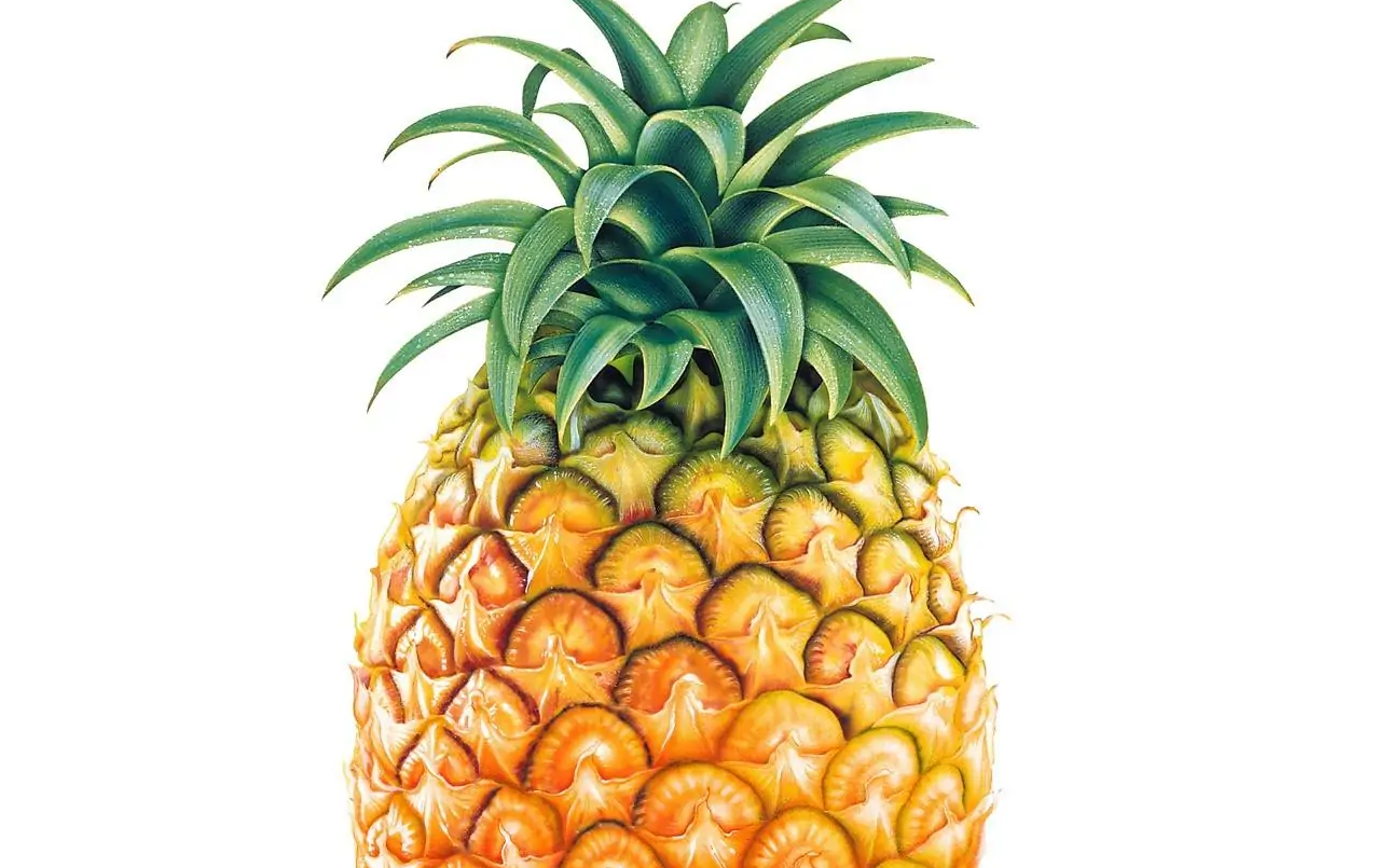 【战舰世界】马可菠萝首航 242k 4杀 支援重创 遗憾败北