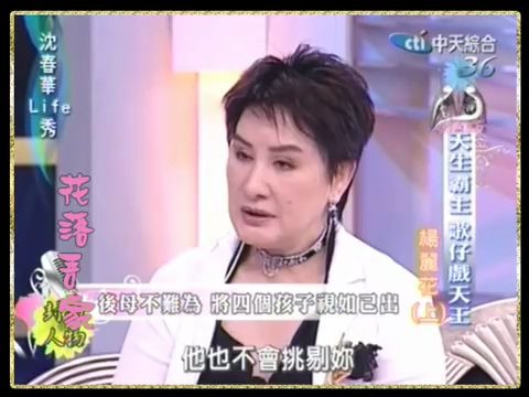 知名歌仔戏演员杨丽花专访3哔哩哔哩bilibili