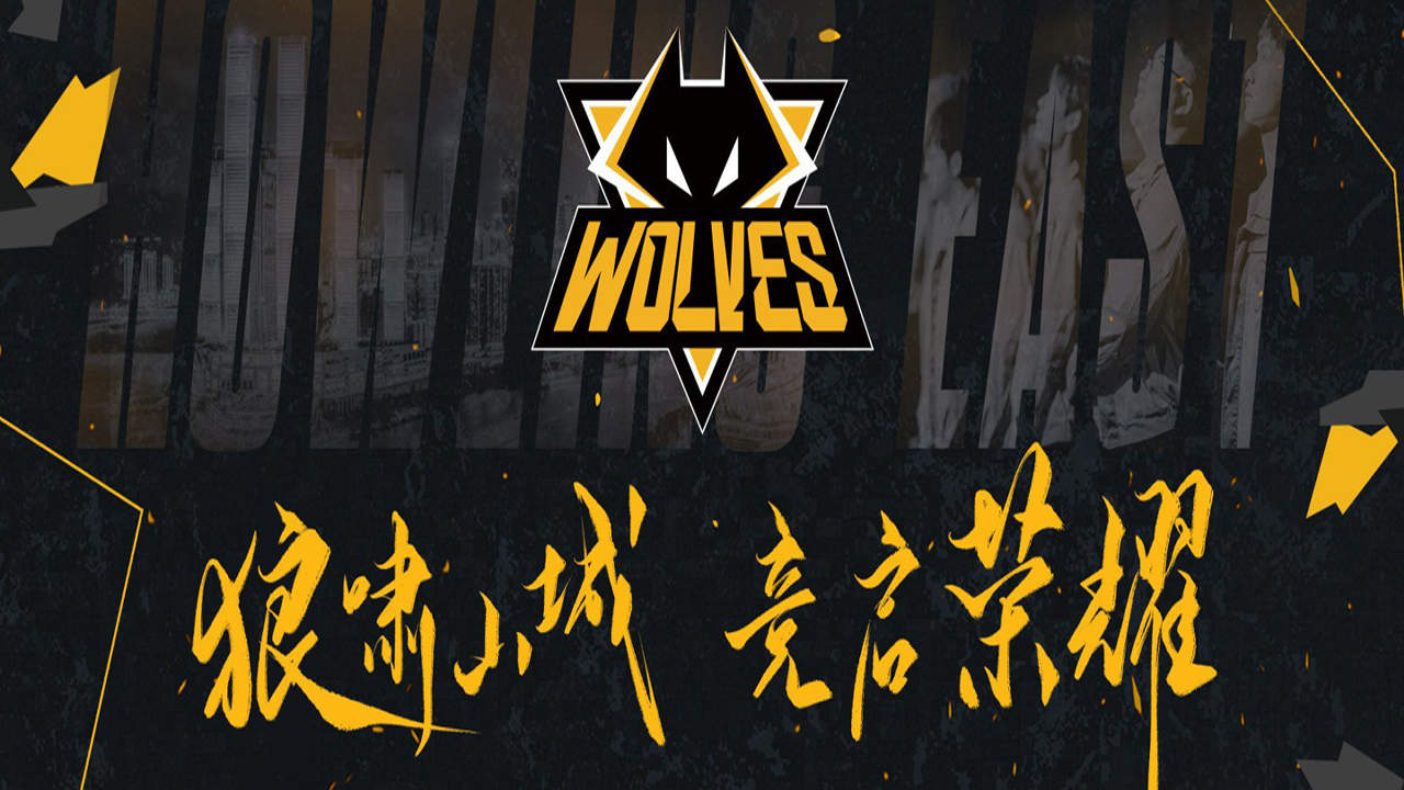 生而无畏,战至终章,狼队加油